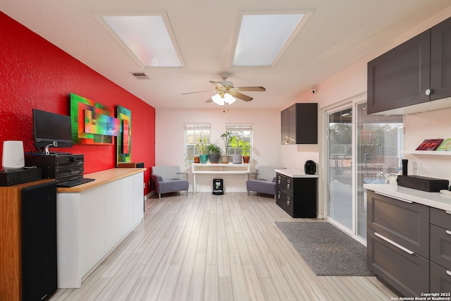 kitchen featuring light hardwood / wood-style flooring, dark brown cabinets, and ceiling fan