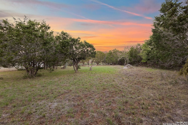 view of yard at dusk