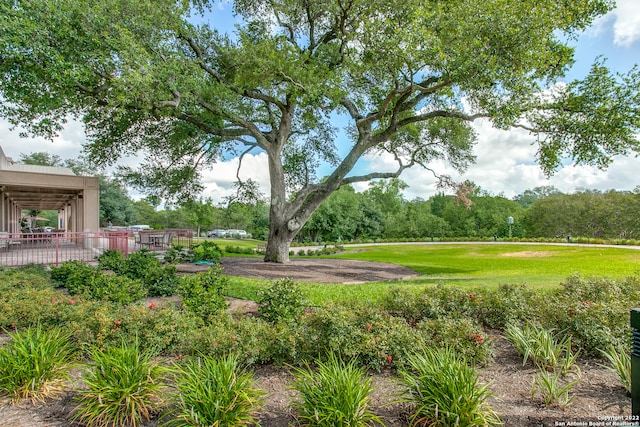 view of yard featuring a wooden deck