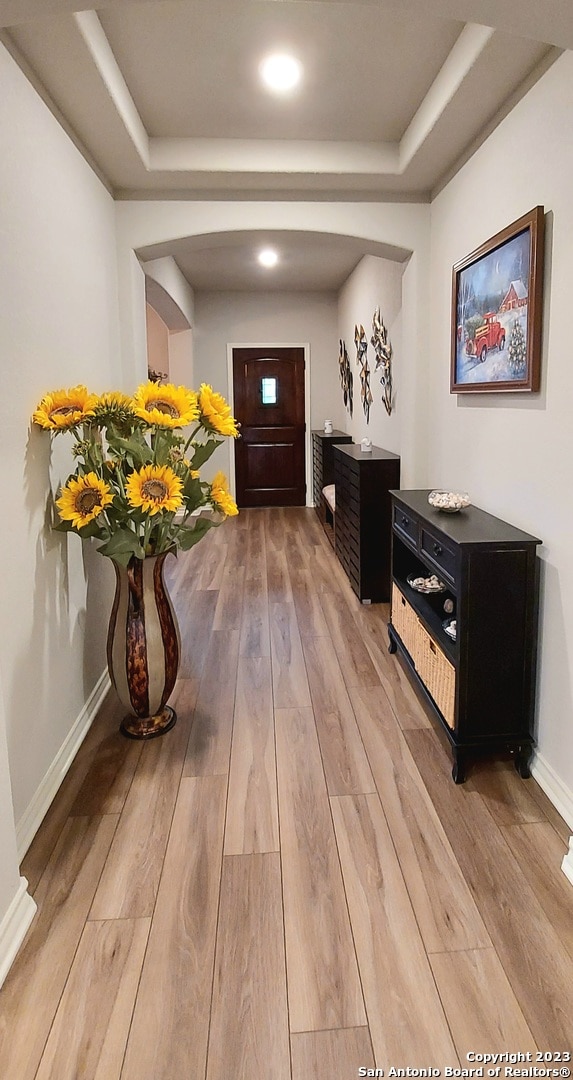 hallway with a raised ceiling and light hardwood / wood-style floors