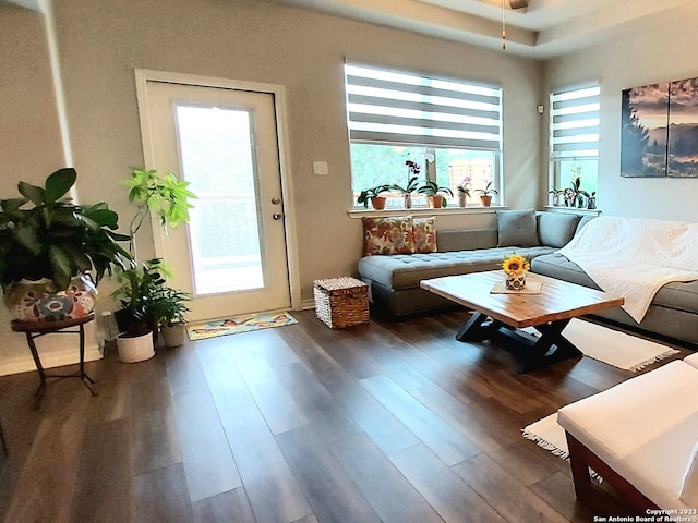 living room with dark hardwood / wood-style floors