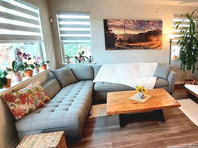 living room featuring dark hardwood / wood-style flooring