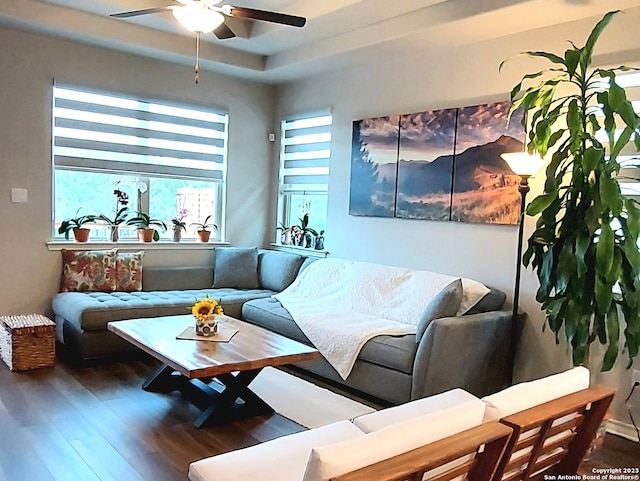 living room featuring dark hardwood / wood-style floors, ceiling fan, and a tray ceiling