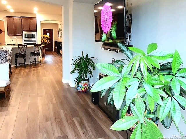 hallway with wood-type flooring and sink