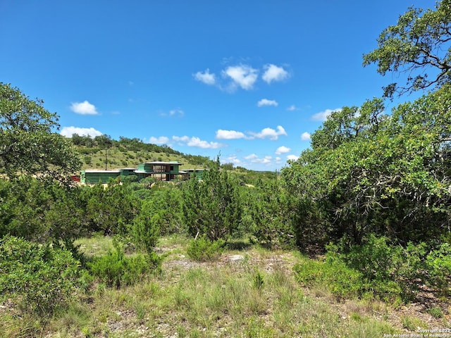 Listing photo 3 for 23031 Juliette Rdg, San Antonio TX 78257