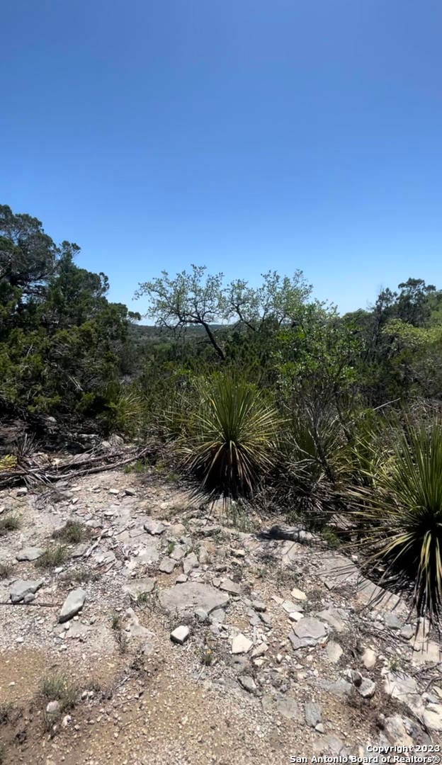 Listing photo 3 for LOT6 Timber Crk, Pipe Creek TX 78063