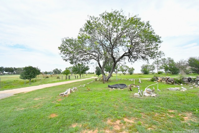 view of yard with a rural view