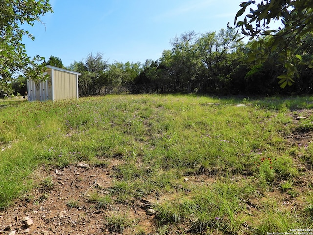 view of yard with a storage shed