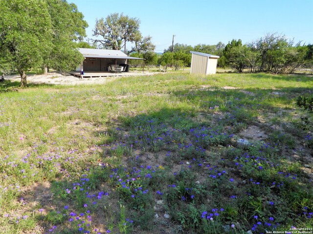 view of yard with a shed