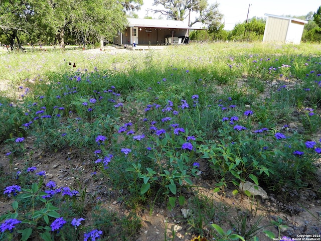 view of yard featuring an outdoor structure