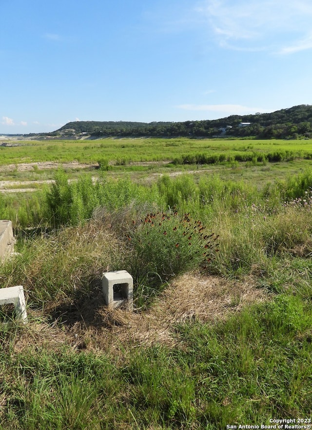 view of local wilderness featuring a rural view