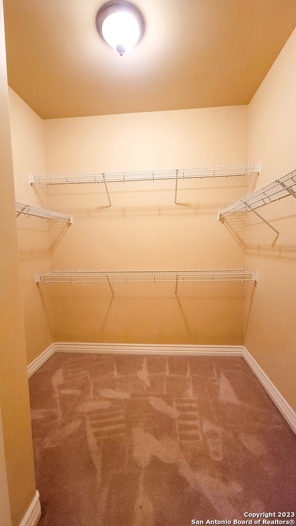 walk in closet with carpet floors