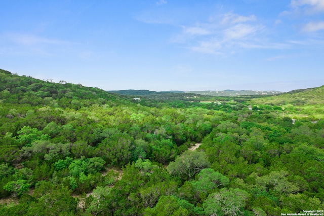 Listing photo 2 for 94 Monte Vis, Helotes TX 78023