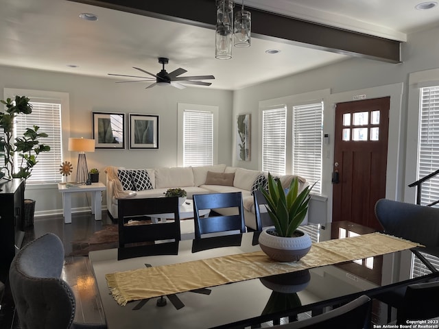 dining space with hardwood / wood-style flooring and ceiling fan with notable chandelier