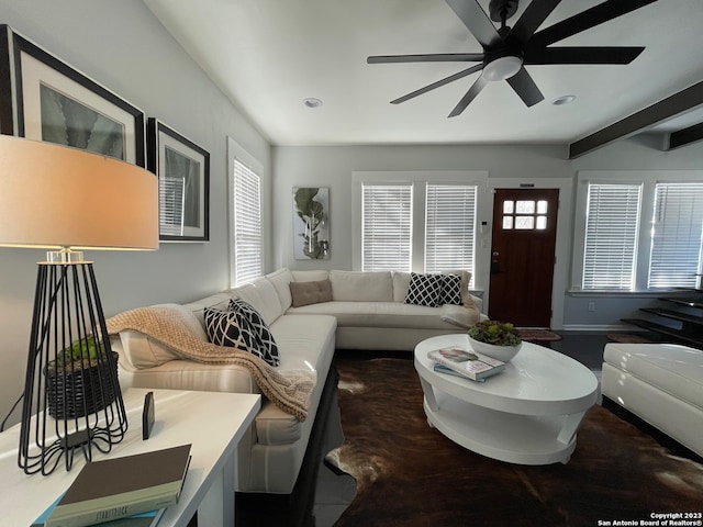 living room with ceiling fan, a wealth of natural light, and beam ceiling