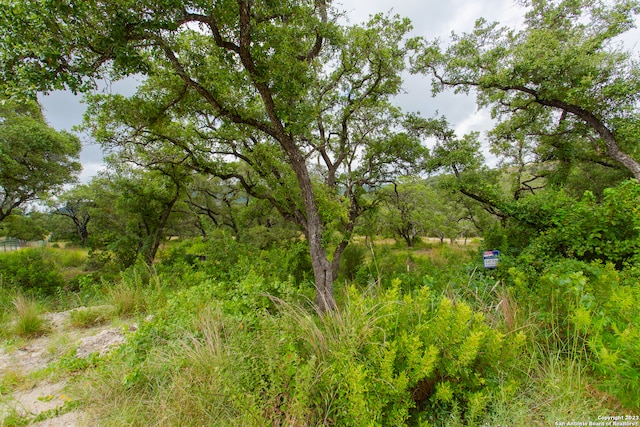 Listing photo 3 for LOT53 Clear Water Cyn, Helotes TX 78023