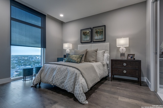 bedroom with dark hardwood / wood-style floors