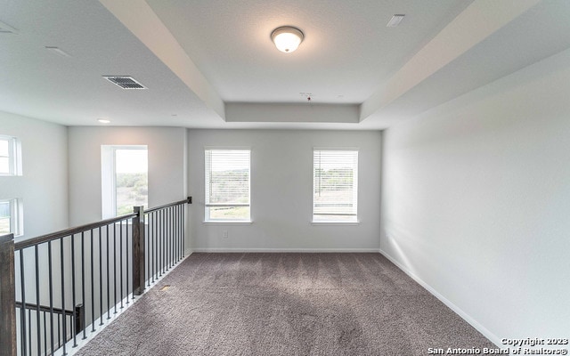 carpeted spare room featuring a raised ceiling