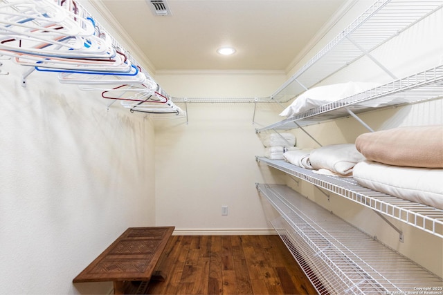 walk in closet featuring dark hardwood / wood-style flooring