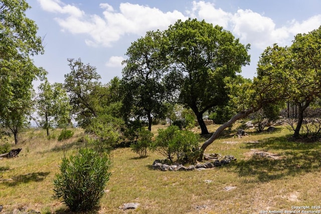 view of local wilderness with a rural view