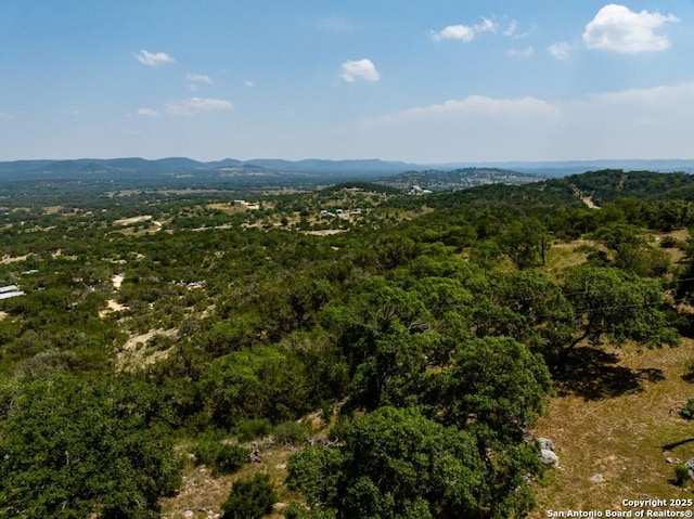 property view of mountains