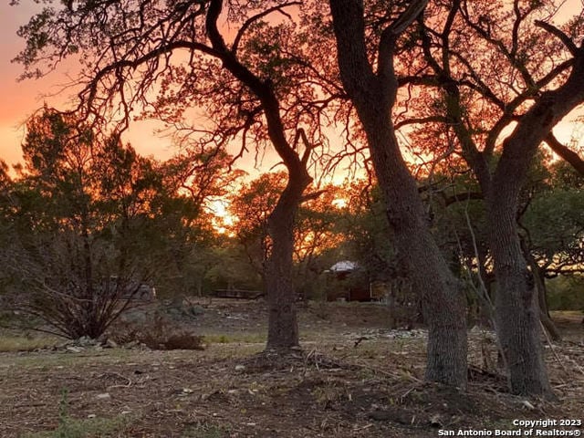 view of nature at dusk