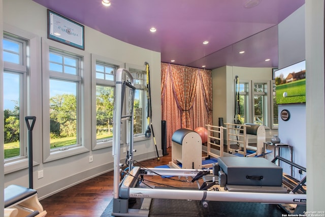 exercise room with dark hardwood / wood-style floors