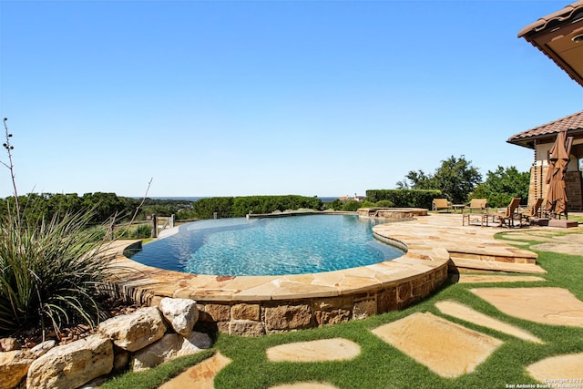 view of swimming pool with a patio