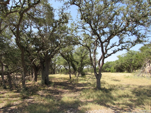 Listing photo 2 for 34736 Casita Creek Ln, Bulverde TX 78163