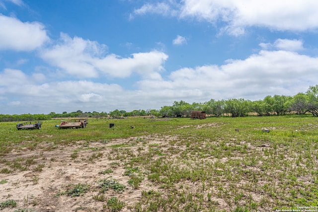 view of local wilderness featuring a rural view