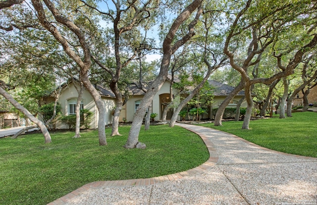 view of front of home with a front yard