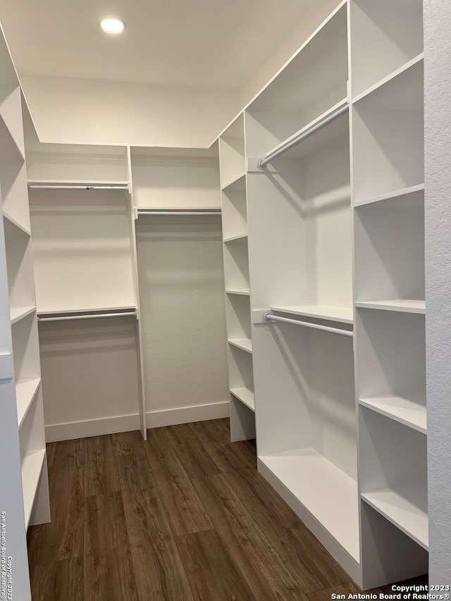 spacious closet featuring dark wood-type flooring