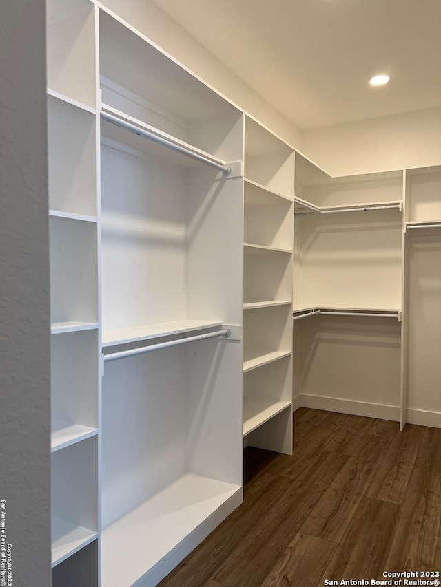 spacious closet featuring dark hardwood / wood-style floors