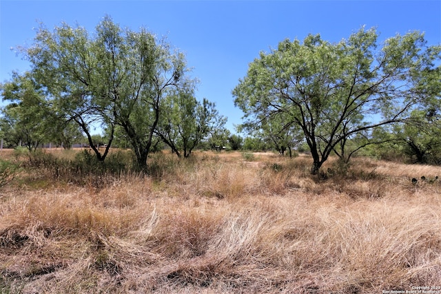 109 County Road 2672, Devine TX, 78016 land for sale