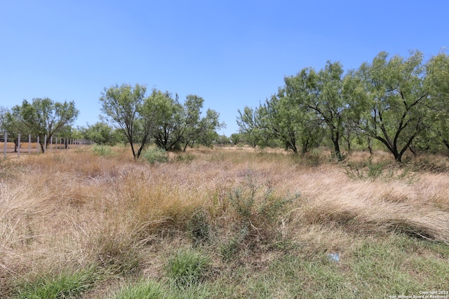 Listing photo 2 for 109 County Road 2672, Devine TX 78016