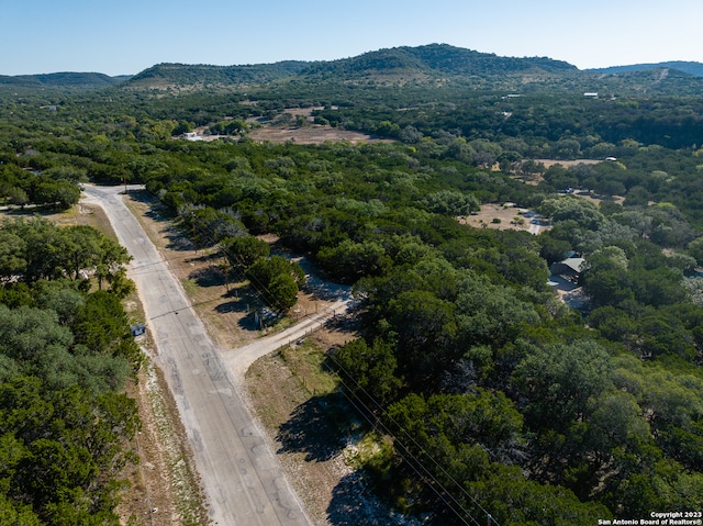 birds eye view of property featuring a mountain view