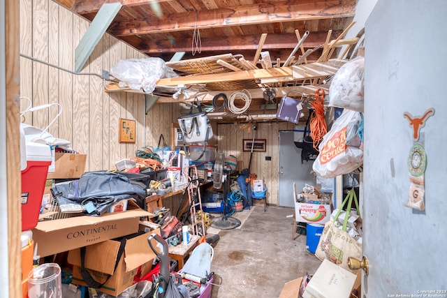 basement with wooden walls