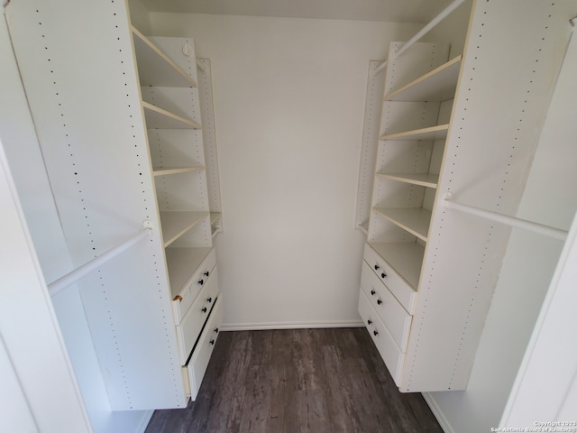 walk in closet with dark wood-type flooring