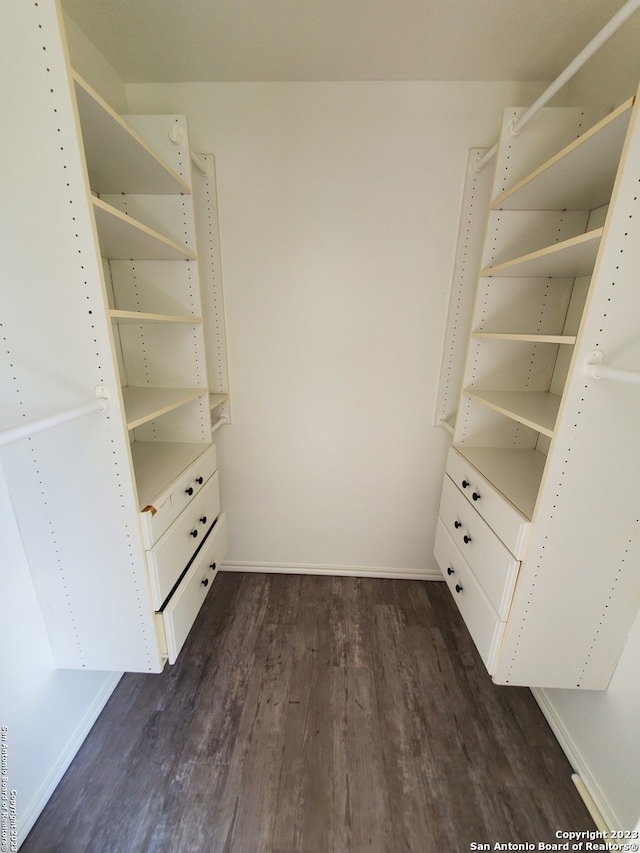 spacious closet featuring dark hardwood / wood-style floors