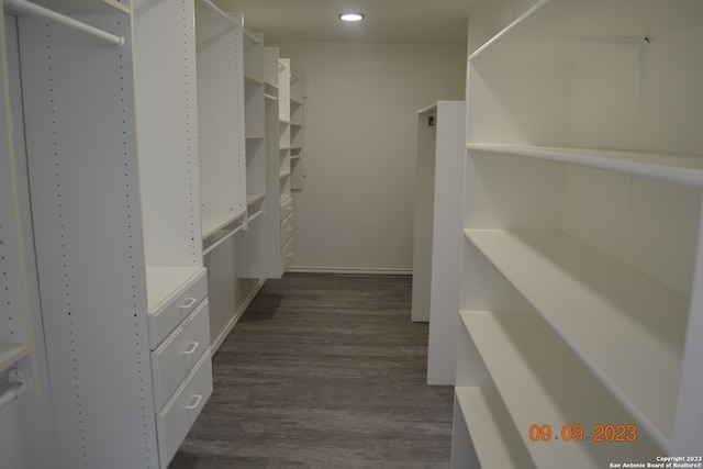 spacious closet with dark hardwood / wood-style flooring