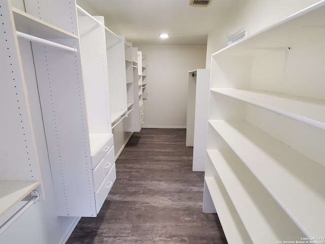 spacious closet featuring dark wood-type flooring