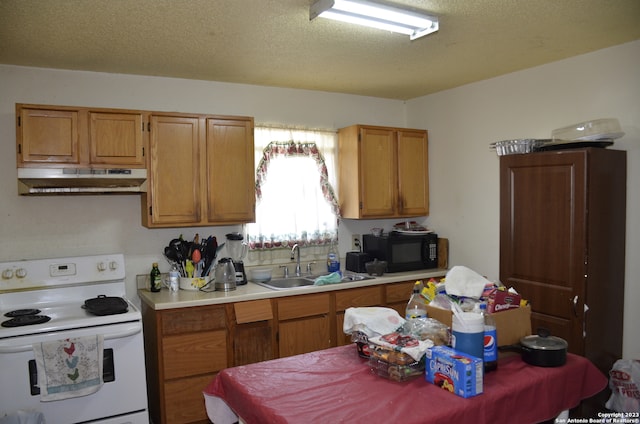 kitchen featuring a textured ceiling, sink, and electric stove