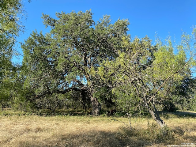 Listing photo 2 for 0000 Kahn, Rio Frio TX 78873