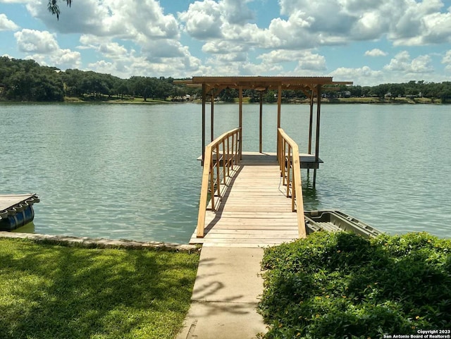 dock area with a water view