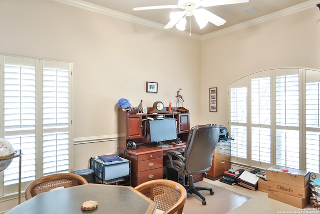 carpeted office featuring ceiling fan and crown molding