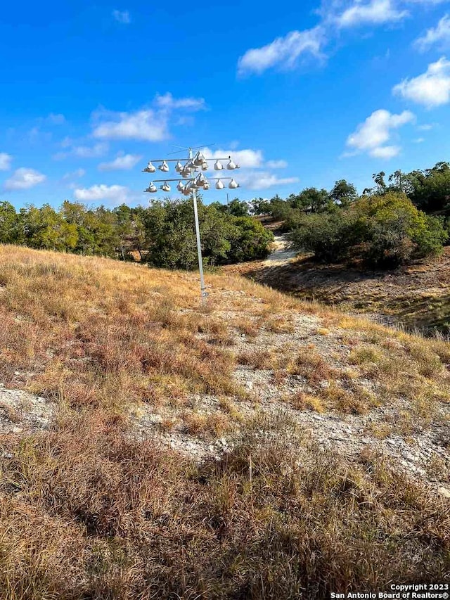 36 Twisted Oak Trl, Blanco TX, 78606 land for sale