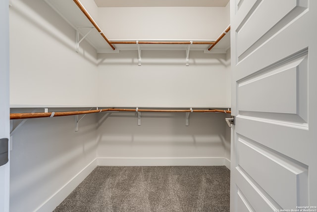 walk in closet with carpet flooring