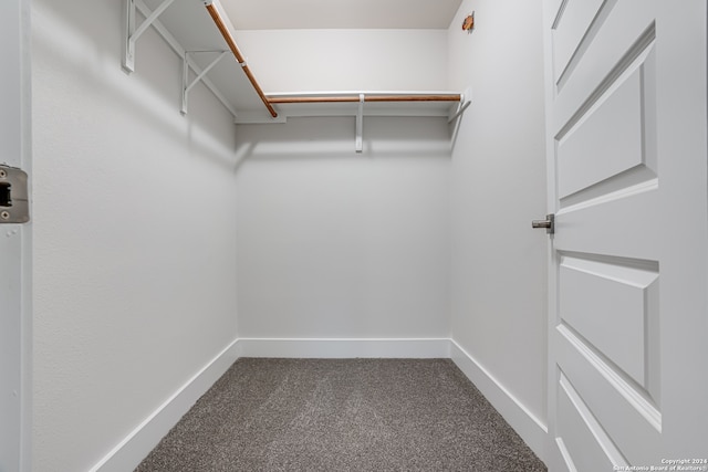 walk in closet with carpet