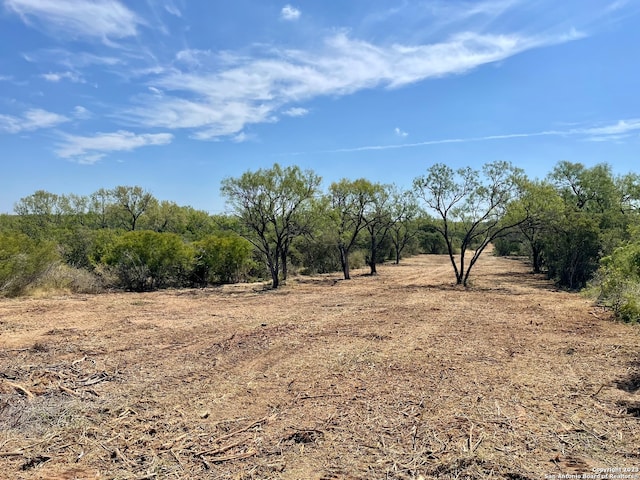 231 County Road 1670, Moore TX, 78057 land for sale