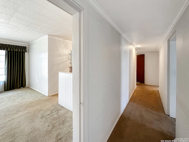 corridor featuring light colored carpet and crown molding